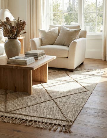 3' 9 x 6' 3 Hand Knotted Darya Wool Rug