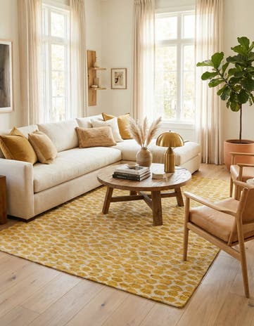 6' x 9' 1 Hand Knotted Darya Wool Rug