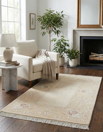 2' 7 x 4' 9 Hand Knotted Darya Rug