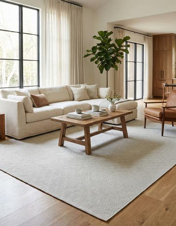 10' x 14' 1 Hand Woven Geo Trellis Flatweave Rug