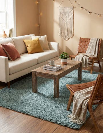 4' x 6' Solid Shag Rug