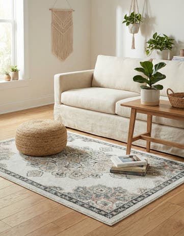 3' 3 x 5' 3 Parker Rug