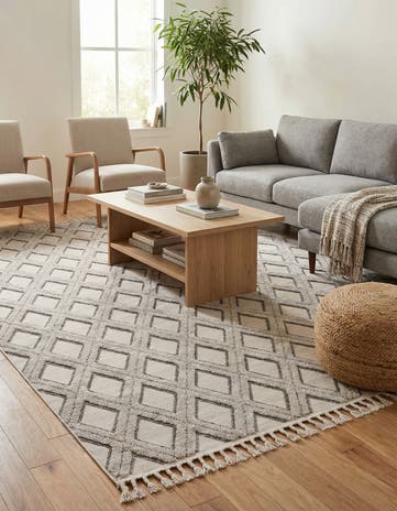 9' x 12' Arlo Rug