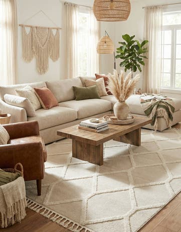 9' x 12' Boho Rug