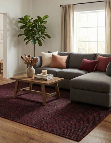 Burgundy Red Aakaar Rug