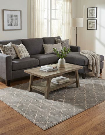 Jill Zarin 4' x 6' Uptown Lincoln Center Rug