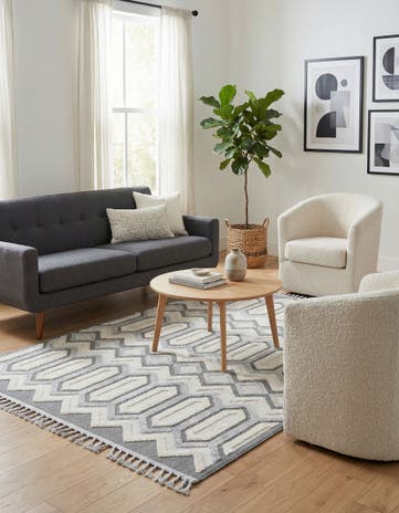 6' x 9' Arlo Rug