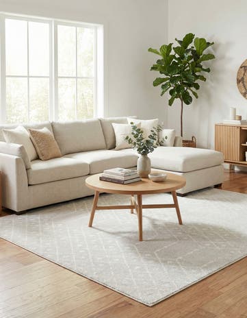 7' 10 x 7' 10 Paxon Trellis Square Rug