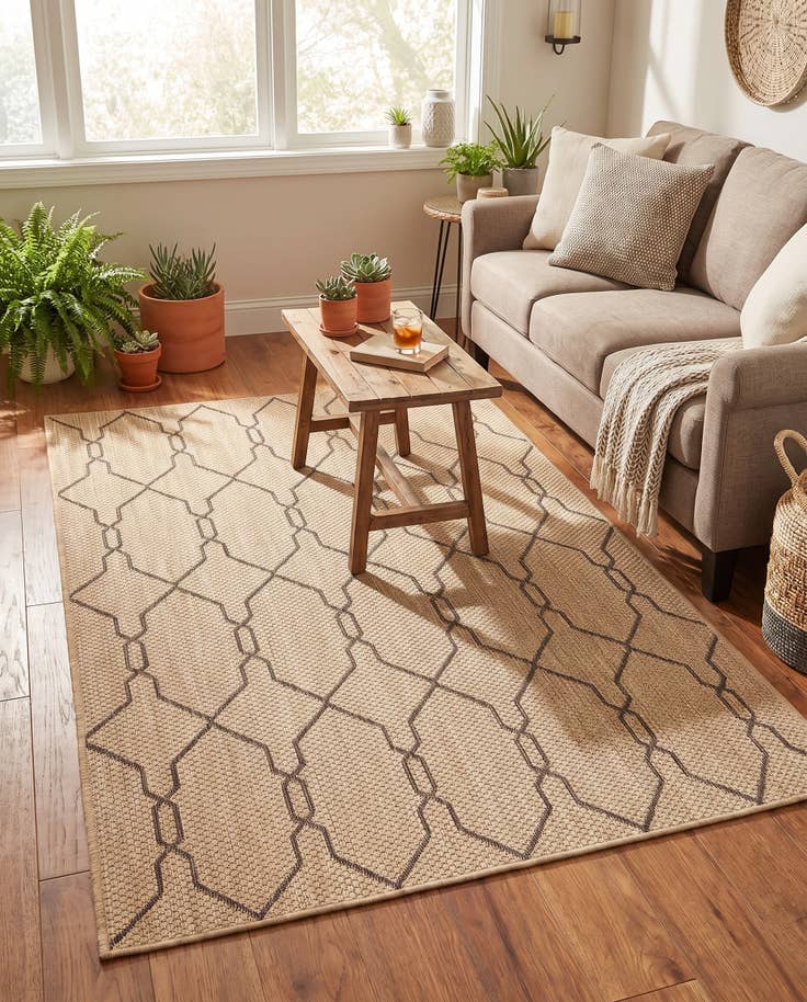 Detail image of 4' x 6' Easy-Clean Trellis Indoor / Outdoor Rug