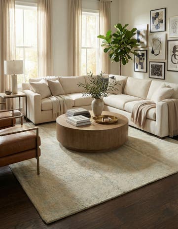7' 9 x 10' 6 Hand Knotted Darya Wool Rug