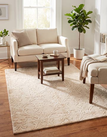 4' 3 x 6' 3 Darya Rug