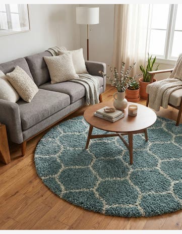 5' 3 x 5' 3 Trellis Shag Round Rug