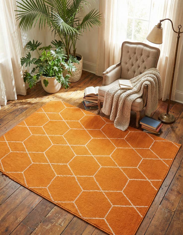 Detail image of  4' x 6' Lattice Frieze Rug