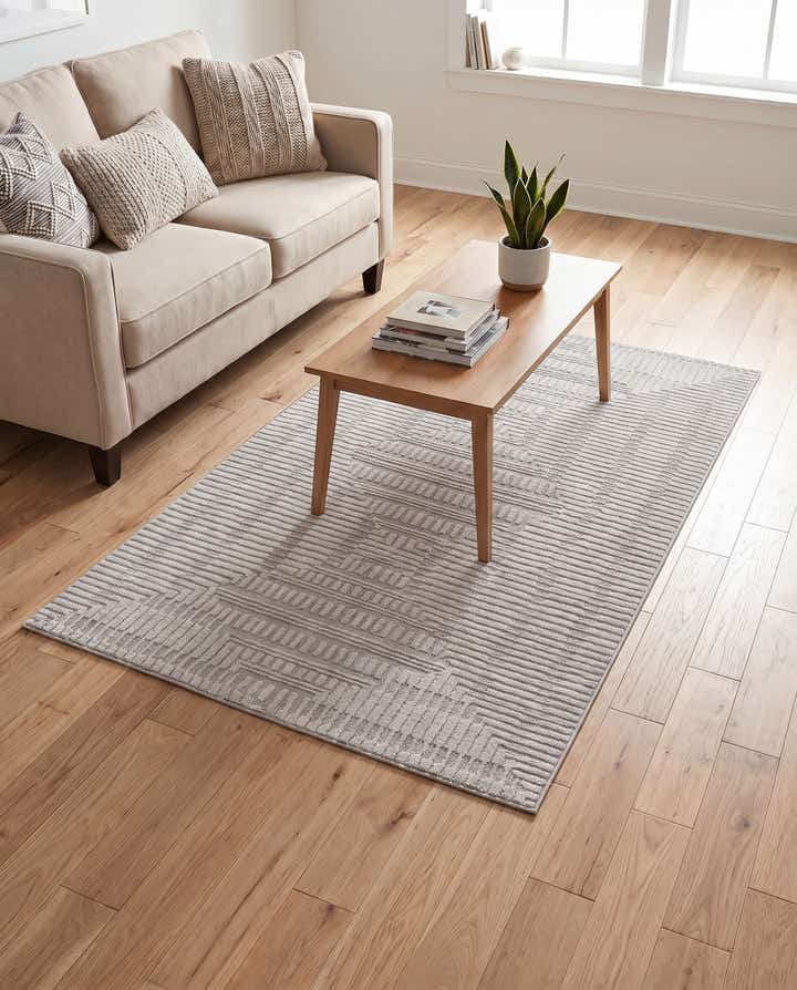 4' x 6' Textura Designer Rug