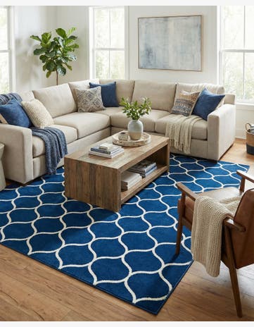 10' x 14' Trellis Frieze Rug