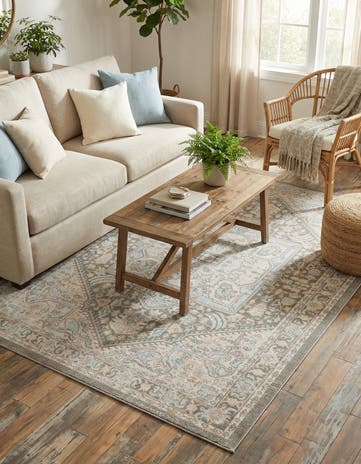 4' x 6' Whitney Rug