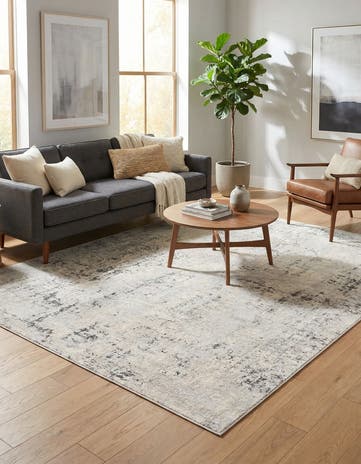 10' x 13' Caspian Rug