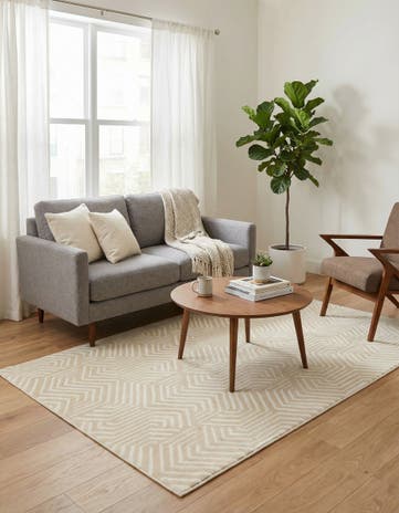 4' x 6' Aakaar Rug