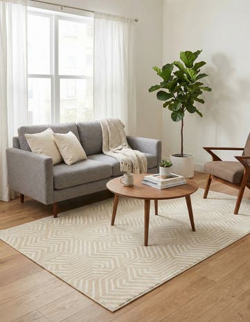 4' x 6' Aakaar Rug