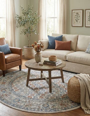 7' x 7' Aramis Round Rug