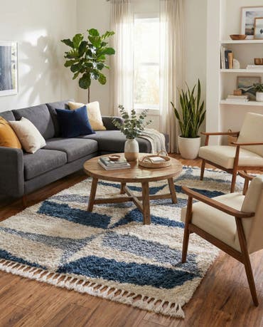  4' x 6' Athena Shag Rug