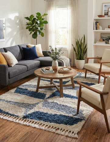 4' x 6' Athena Shag Rug