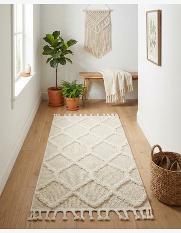 2' x 4' Boho Runner Rug
