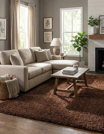 10' x 13' Solid Shag Rug