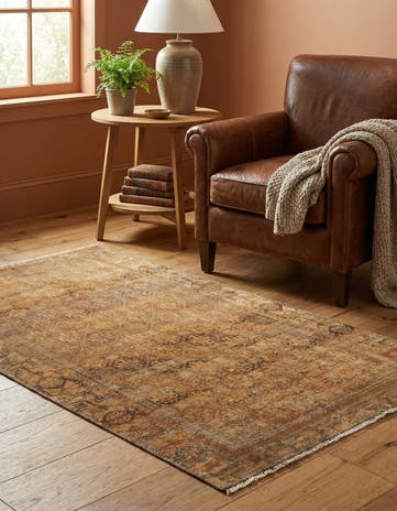 2' 9 x 5' 4 Hamedan Rug