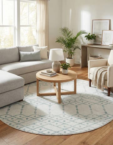 7' 10 x 7' 10 Paxon Trellis Round Rug