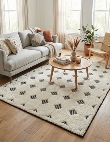4' x 6' Prismatic Rug