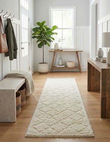 2' 7 x 10' Lattice Shag Runner Rug