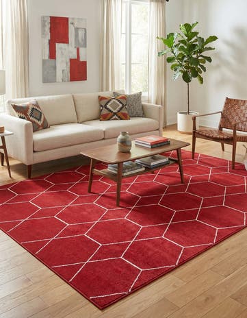 7' 10 x 11' Lattice Frieze Rug