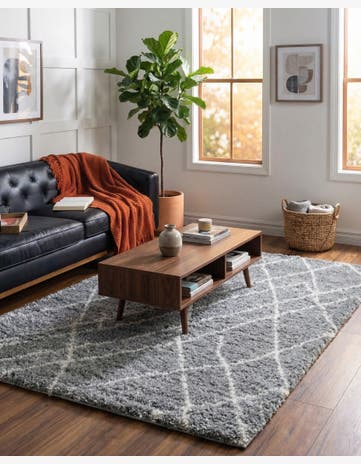 Cloud Gray Soft Touch Shag Rug