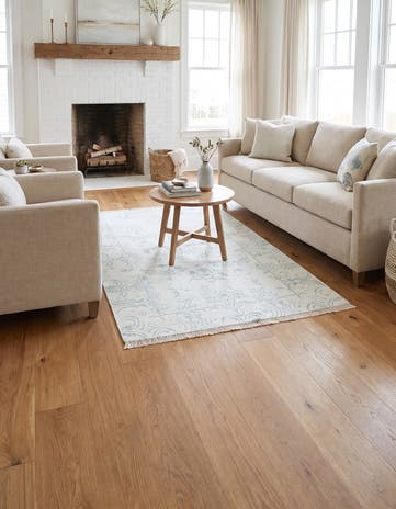 4' x 5' 11 Darya Rug