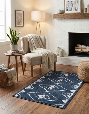 2' x 3' Oslo Rug