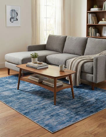 4' x 6' Asha Rug