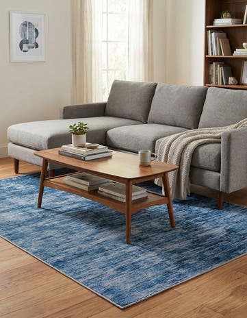 4' x 6' Asha Rug