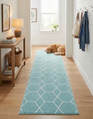 2' x 9' Lattice Frieze Runner Rug