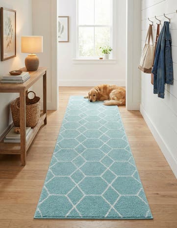 2' x 9' Lattice Frieze Runner Rug
