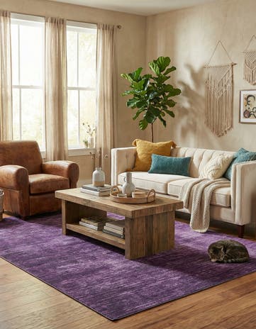 7' 6 x 10' 6 Asha Rug