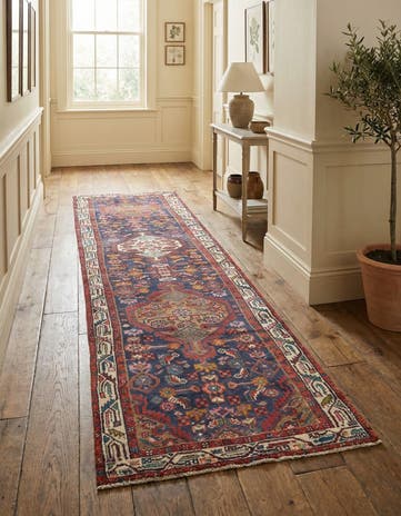 2' 5 x 10' 1 Hamedan Runner Rug