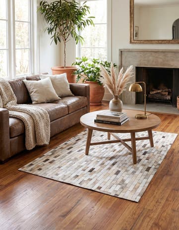 4' x 5' 10 Cowhide Stocks Rug