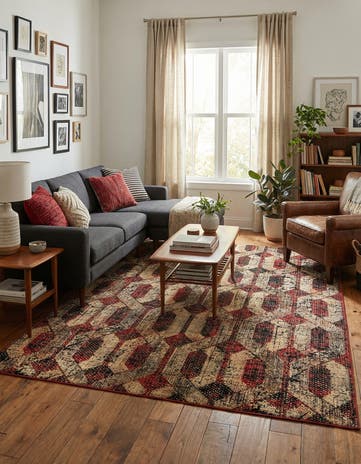 9' x 12' Saturn Rug