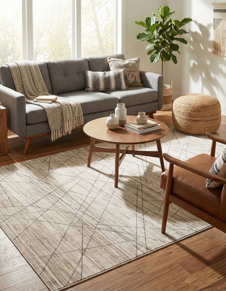 Detail image of 4' x 6' Silta Rug