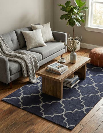 4' x 6' Luna Rug