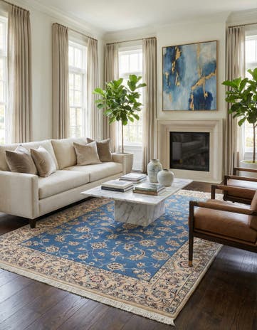 4' 5 x 6' 11 Nain Rug