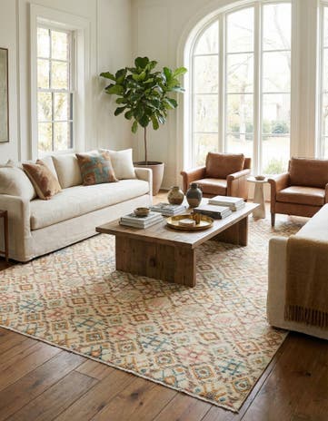 8' 10 x 12' 6 Hand Knotted Darya Wool Rug
