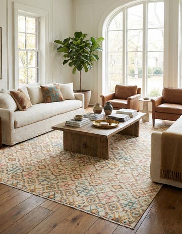 8' 10 x 12' 6 Hand Knotted Darya Wool Rug