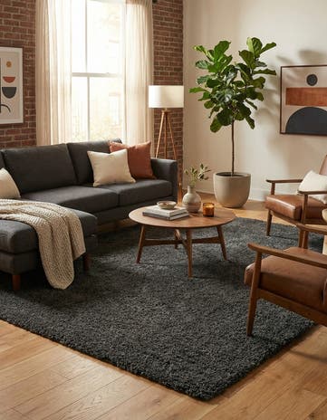 10' x 14' Solid Shag Rug